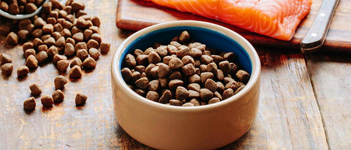 Wellness Pet Food is Compliant with WSAVA Pet Food